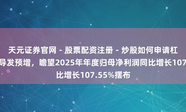 天元证券官网 - 股票配资注册 - 炒股如何申请杠杆 中微半导发预增，瞻望2025年年度归母净利润同比增长107.55%摆布