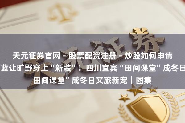 天元证券官网 - 股票配资注册 - 炒股如何申请杠杆 五彩羽衣甘蓝让旷野穿上“新装”！四川宜宾“田间课堂”成冬日文旅新宠｜图集