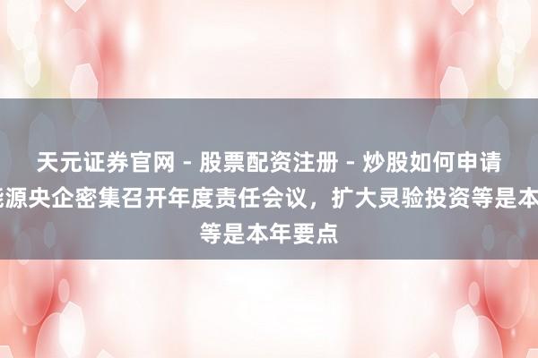 天元证券官网 - 股票配资注册 - 炒股如何申请杠杆 能源央企密集召开年度责任会议，扩大灵验投资等是本年要点